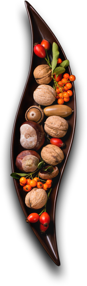 Class | Catering ve Toplu Yemek Hizmetleri