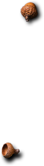 Class | Catering ve Toplu Yemek Hizmetleri