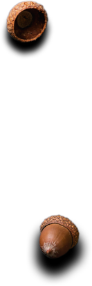 Class | Catering ve Toplu Yemek Hizmetleri