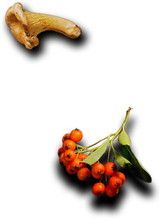 Class | Catering ve Toplu Yemek Hizmetleri